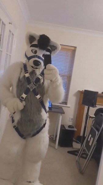Exploring the World of Furry Culture: Understanding Fursuits and More!