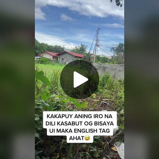 WHY ARE YOU PLAYING IN THE GRASS #wangisingtv