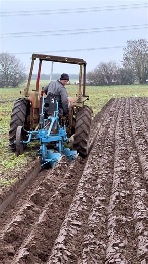 Pro Horizon Farming Videos on Instagram: "Here is a Massey Ferguson tractor (not sure which model this is) at the match ploughing training day"