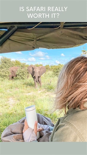 62 reactions · 37 comments | comment LION to go on safari this fall!...