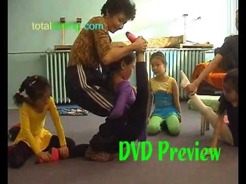 Otgoo´s Advance Assistence 2.wmv