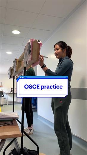 A Day in Vet School: OSCE Practices and Skills