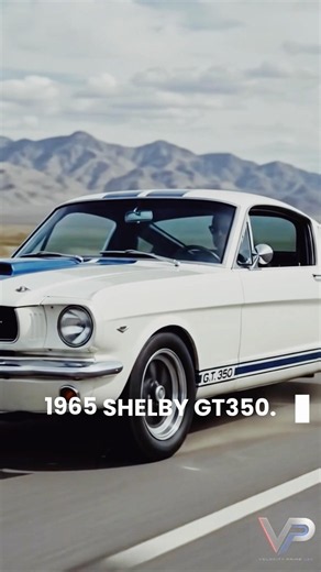 1965 Shelby GT350: The Racing Legend! 🏎️🤍