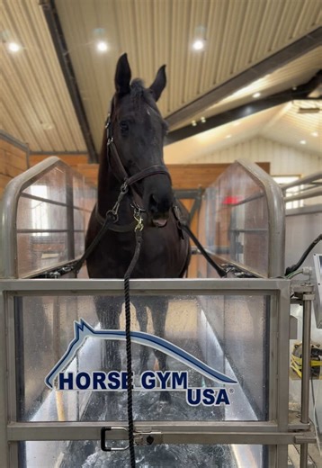 Big Ole Dora on the Water Treadmill