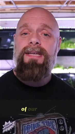 Prime Time Aquatics on Reels