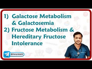 1) Galactose Metabolism & Galactosemia 2) Fructose Metabolism & Hereditary Fructose Intolerance