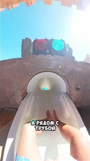 He thought there were no dolphins there #shorts