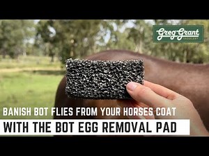Banish Bot Flies from Your Horses Coat with the Bot Egg Removal Pad - Greg Grant Saddlery