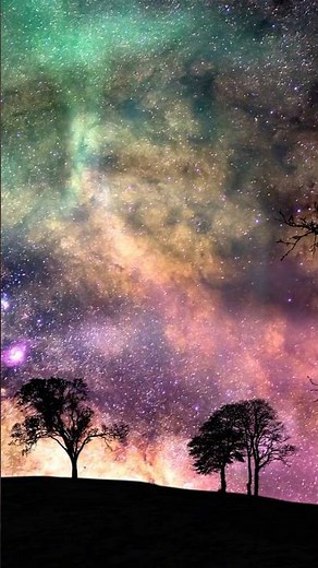 1-Minute Meditation to Release Stress & Anxiety | Breathe, Let Go, Feel Calm