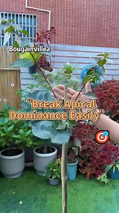 10K views · 116 reactions | #garden #nature #flowers #gardening #plants #flower #photography #naturephotography #green #love #gardenlife #summer #gardendesign #jardin #garten #beautiful #landscape #spring #plant #gardeninspiration #home #naturelovers #macro #mygarden | The Secret Garden | Facebook