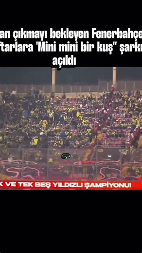 Fenerbahceli taraftarlara mini bir kuş şarkısı