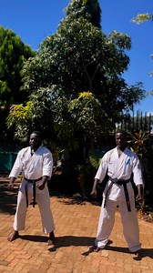 479 reactions · 24 comments | Shotokan vs Kyokushin Karate. What are some of the differences you’ve noticed? | Bushido Brian | Facebook