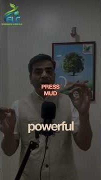 Best Feedstocks for Biogas & How They Influence Gas Output