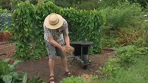 Mulching - Gardening Australia