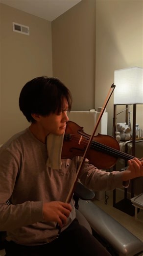 Spring Snow - 10CM - Violin Cover