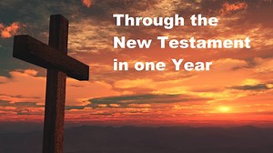 Through the New Testament in 1 year, Day 183