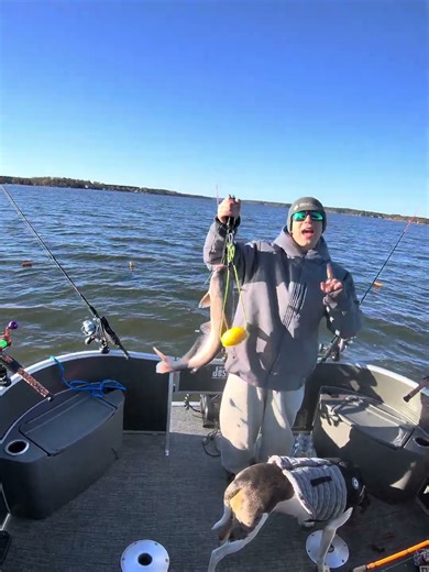 Catfishing with Boogie