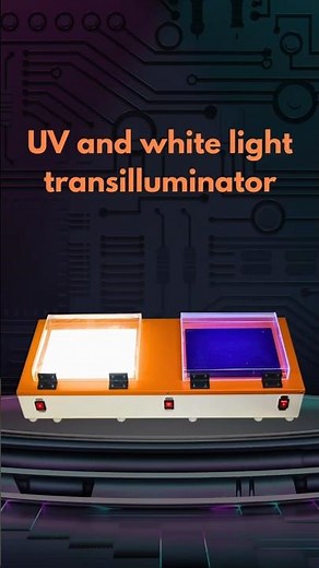 Molecular Biology Lab Instruments | iGene Labserve | Lab Equipment for Research #igenelabserve