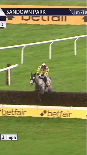 Il Etait Temps sparkles in the Tingle Creek