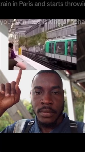 FRANCE: A North African migrant blocks a train in Paris and starts throwing stones while shouting “Allahu Akbar”. How do you even fix this kind of behavior? #Allahuakbar #islam #trendingvideo #creatorsearchinsight