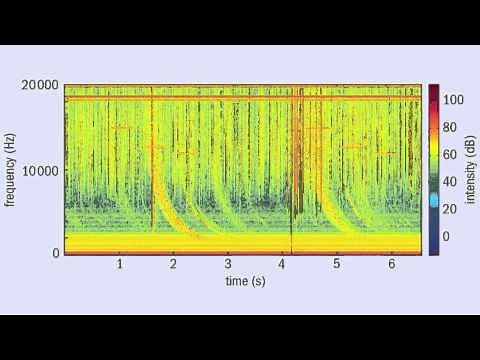 The sound of lightning from 11,000 km away