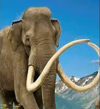 Jeffersonian Mammoth Trumpet 🐘 🔊