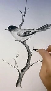 easy drawing tutorial . . . #draw #drawings #usatiktok🇺🇸 #newyorkartist #drawingchallenge #drawingprocess #drawingtutorial #viral #reel #fypシ゚ #tips #trendingreel #foryouシ #viralreel #grow #intrestingfacts #short #shortsreels #facts #trendingvideo #trend #reelschallenge | Artistwhisper