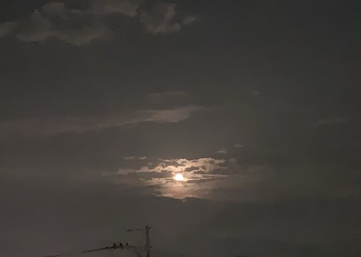 【２０２４年PC版Steam】マルチプレイできるオススメホラーゲーム！実況者もよくプレイするゲームとは？