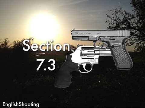 Section 7.3 (Pistols) - UK Gun Laws