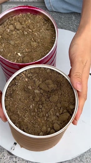 Don't miss it! This is a very simple way to have a beautiful garden that inspires you