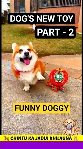 डॉगी का लाइट वाला खिलौना 😳 Omg so cute dog videos 🐕 #foufoupuppy #dogtoys