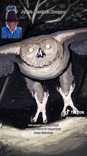 The Largest Owl - Discovering Ornimegalonyx