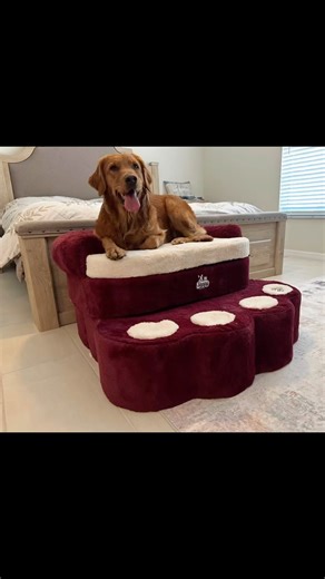 Introducing the Big Paw! It’s the newest addition to our Steppy bed Collection. Available in less than 2 weeks! #steppybed #dogsofinstagram #dog #doglife #doglifestyle #petbed #petstagram #petlovers #petstep #steps #doglover #doglovers #doglove #dogstagram #dogstyle | Steppy Bed