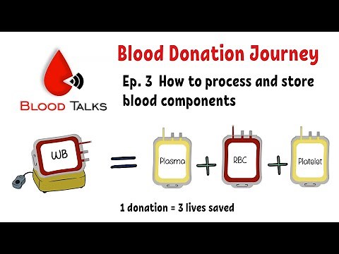 Ep.3. Components Processing and Storage. How donated blood being process? | Blood Donation Journey