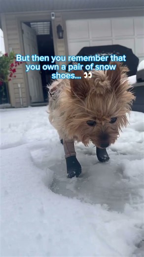 Because winter walks should be cozy, not cold. ❄️