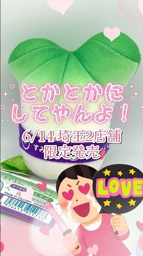 【#グッズ紹介】ねぎ×とかげ！可愛すぎる埼玉2店舗限定発売てのりぬいぐるみ【#すみっコぐらし】#shorts #バズれ #sumikkogurashi #角落小夥伴 #角落生物 #ぬい活 #ぬい撮り