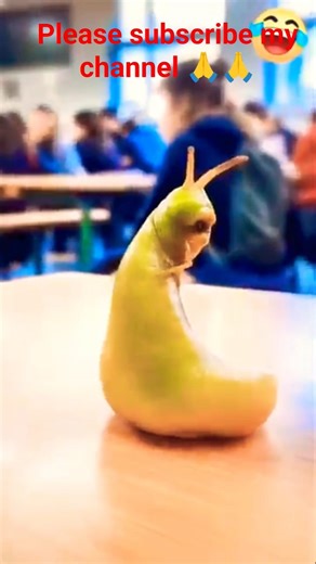 🙂👍🙏Tools ltems🥰New Viral, Gadgets, Smart, Kitchen, Utensils/Home invented😂 #shorts #funny #trending