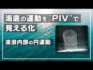 PIV analysis of circular motion occurring inside waves