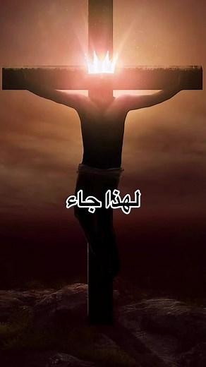 BetterlifeTeam (@betterlifeteam)’s videos with Motivation - neozilla