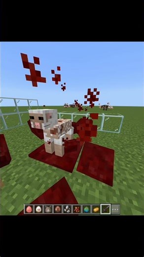 infected sheep parasite in #minecraft