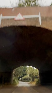 46K views · 2.3K reactions | And he had no hesitation doing it…Learn...