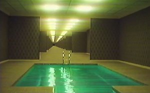 私人泳池，但是很久沒人來了