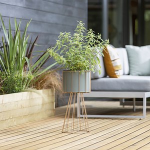 Top tip ❗️ Combine faux and real plants to create a quick and easy botanical haven 🌸 Shop our faux flowers now 👉https://bit.ly/2tCmEr4 | Dunelm