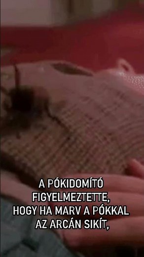 A pók és a Reszkessetek, betörők! #film #érdekesség #reszkessetekbetörők