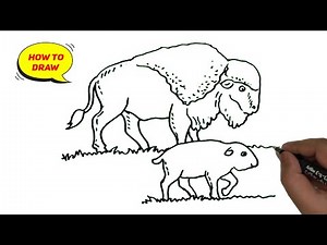 How to draw a Bison and a baby bison easy and step by step.