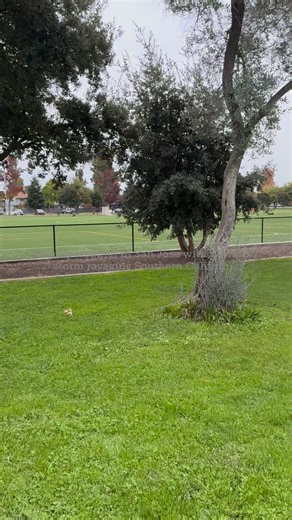 A powerful atmospheric river storm is currently impacting Southern California, bringing heavy, consistent rain, flash flood warnings, and the risk of dangerous mudslides and debris flows, especially in recent burn scar areas. Keep safe and dry everyone. #storm #AtmosphericRiver #rainydays #keepsafeevery0ne #keepsafe | Jess Sarzuelo | Facebook