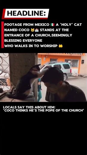 Locals say this about him: ‘Coco thinks he’s the pope of the church 🤣❤️