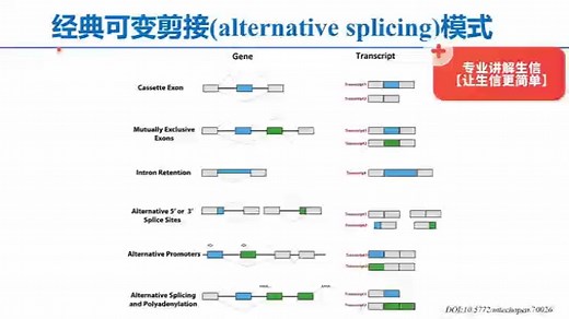 经典的可变剪接( alternative splicing)模式有哪些类型呢？