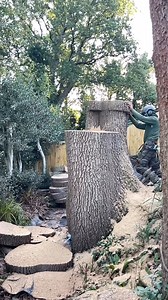 Tree Rangers Arborists & Tree Surgeons !! #team #teamwork #work #stihl #BognorRegis #felpham #climping #arundel #aldwick #yapton #fontwell #barnham #walberton #sutton #ford | Tree Rangers