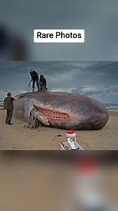 304K views · 6.7K reactions | Extremely Rare Photos You Can’t Miss! Part 8 | Ｌｏａｄｉｎｇ ．．． | Facebook